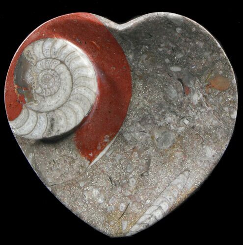 Heart Shaped Fossil Goniatite Dish #39362